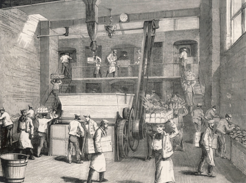 New Topic – Serpell Biscuits